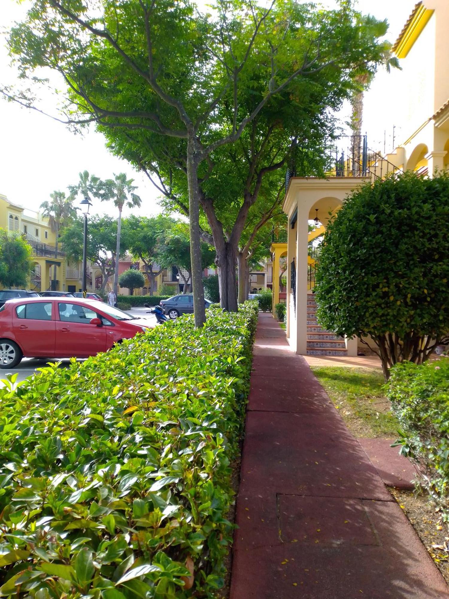 Apartment El Paraiso Ayamonte
